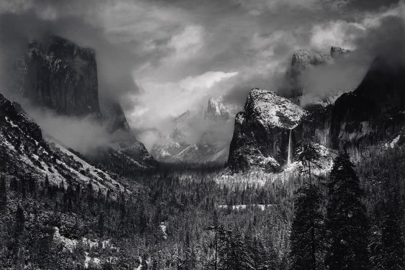 MoMA Will Auction More Than 400 Photographs