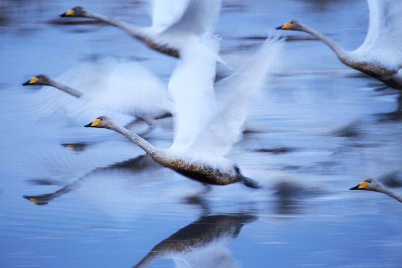 National Geographic Travel Photographer of the Year Contest Winners Photography Photos Images Nature People Portrait Nat Geo