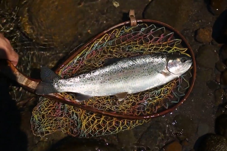 SOUTH2 WEST8 Hits the Streams of Hokkaido for New Fishing Video