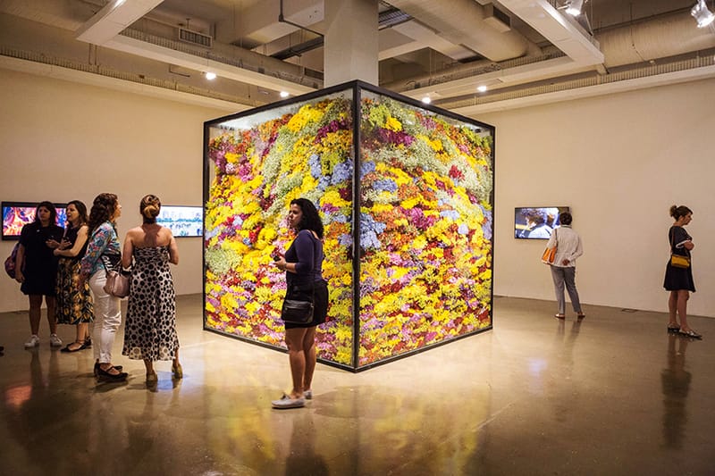 Azuma Makoto Composes and Decomposes Flowers at Rio Exhibit
