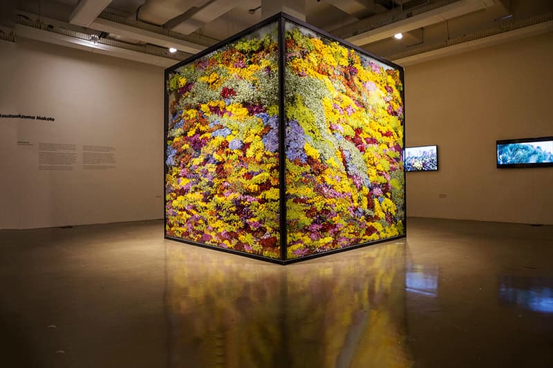Azuma Makoto Composes and Decomposes Flowers at Rio Exhibit