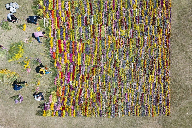 Azuma Makoto Composes and Decomposes Flowers at Rio Exhibit