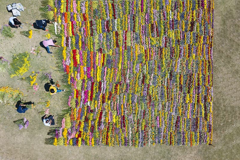Azuma Makoto Composes and Decomposes Flowers at Rio Exhibit