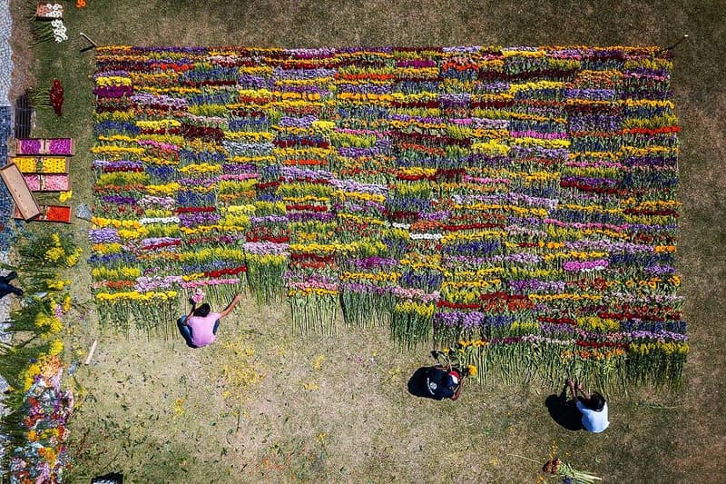 Azuma Makoto Composes and Decomposes Flowers at Rio Exhibit