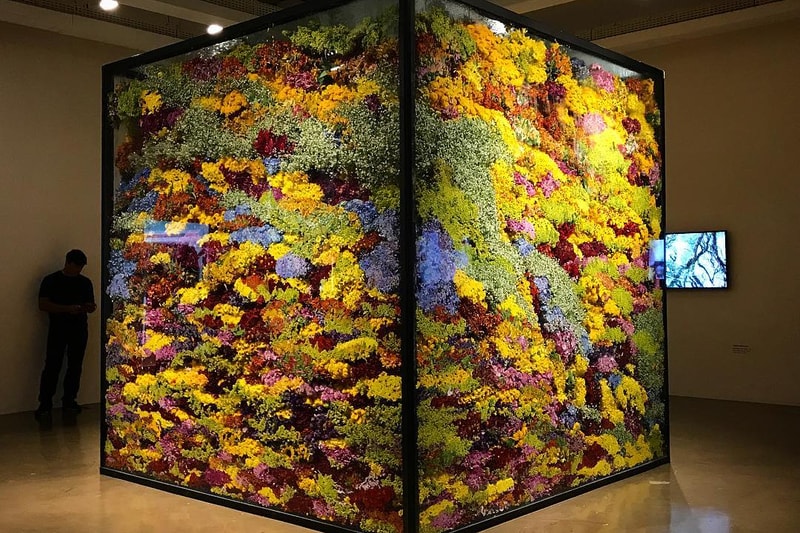 Azuma Makoto Composes and Decomposes Flowers at Rio Exhibit
