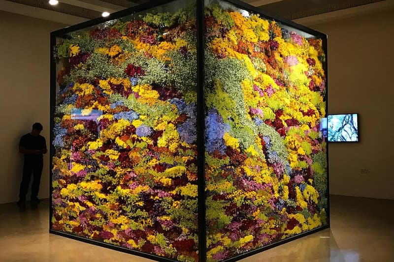 Azuma Makoto Composes and Decomposes Flowers at Rio Exhibit