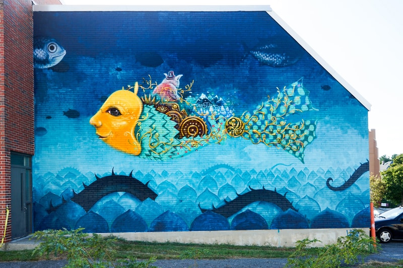 POW WOW Worcester Street Art Mural Artwork Paintings Nosego Caratoes APEXER Denial Pichiavo Nicky Davis