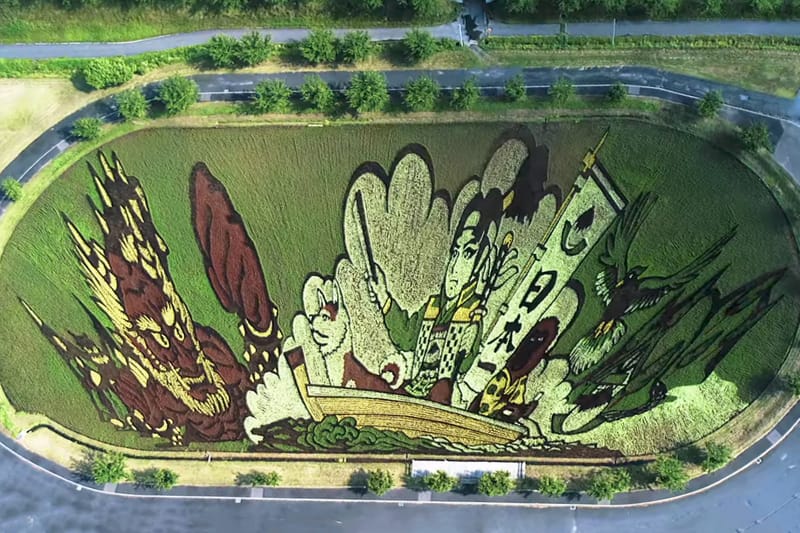 Massive Rice Paddy Art in Japan Takes Three Months to Complete