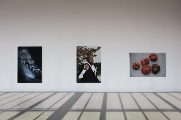 Wolfgang Tillmans Art Photography Exhibition Hamburg Kunstverein Frank Ocean