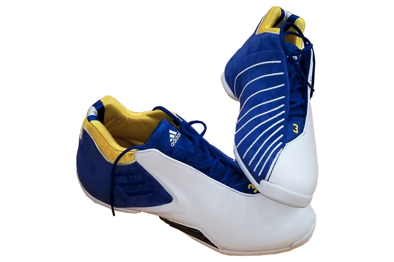 Tracy McGrady NBA Basketball All-Star Hall of Fame Draymond Green adidas TMAC 3 Retro Auburndale Bloodhounds