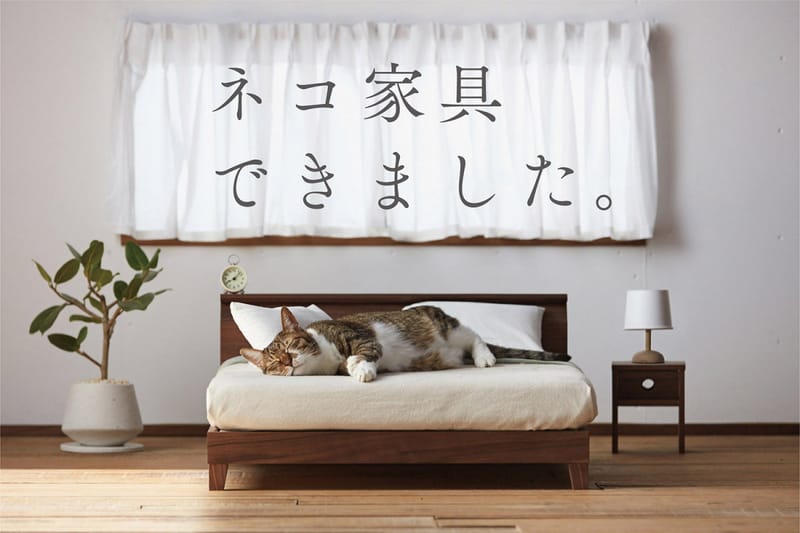 Okawa City Introduces Furniture for Cats