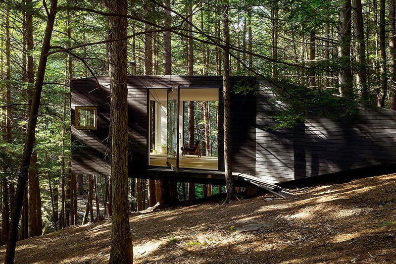 The Half-Tree House Is the Adult Version of Your Childhood Dream Home