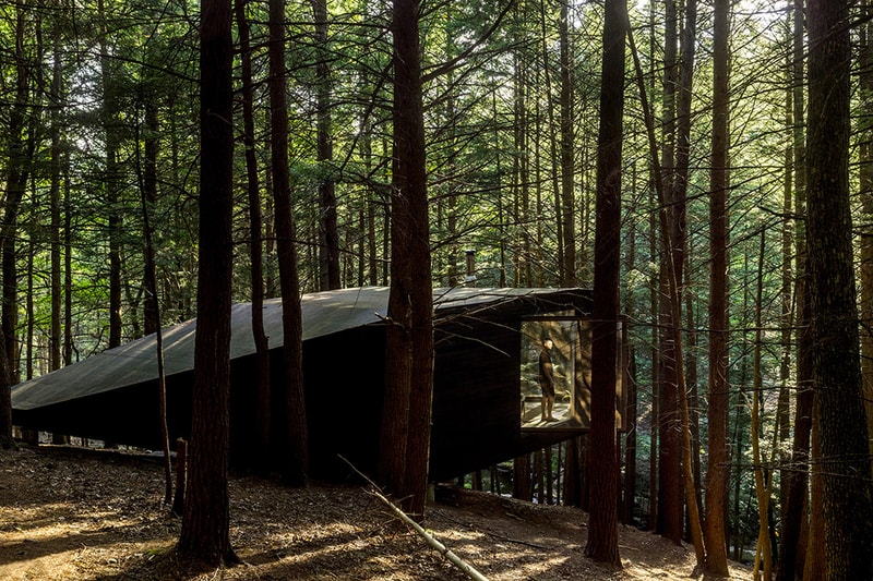 Half-Tree House