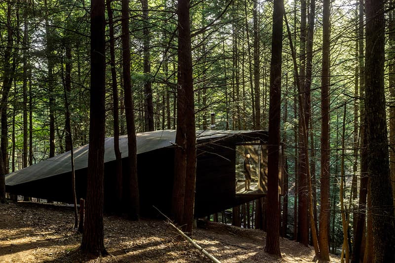Half-Tree House