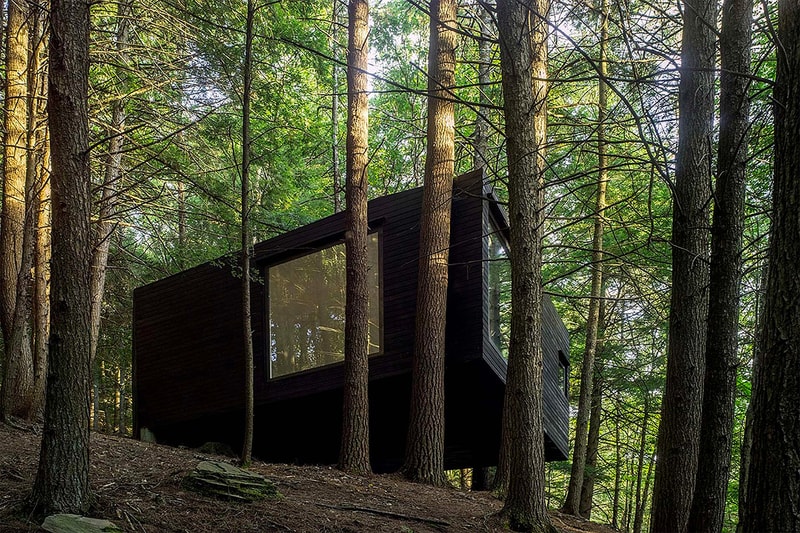 Half-Tree House