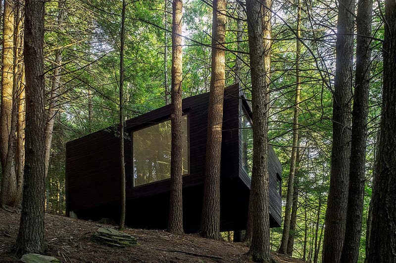 Half-Tree House