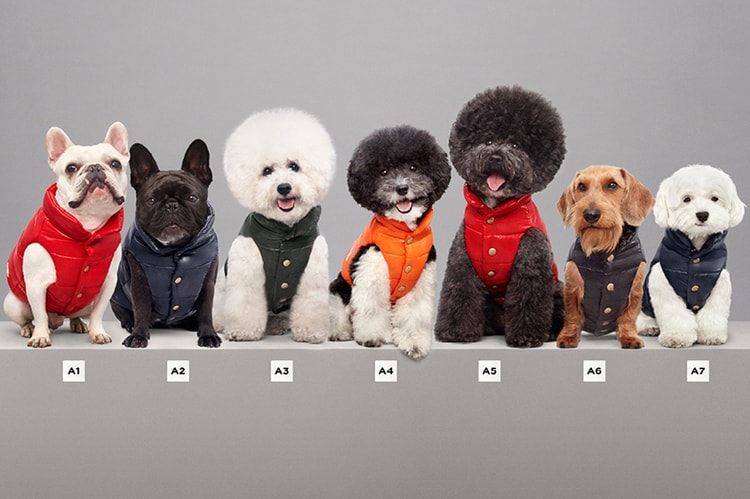 Moncler Releases Limited Puffer Jackets for Dogs