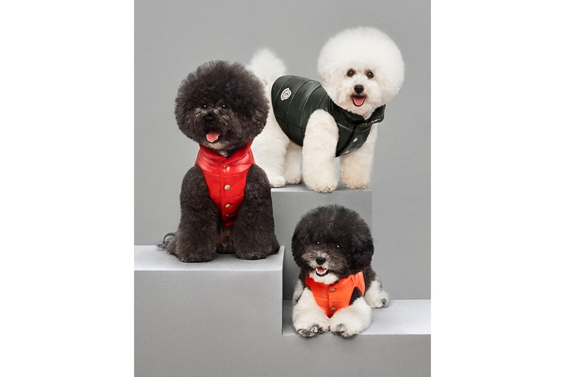 Moncler Mondog Dogs Outerwear Luxury Fashion Jackets Coats