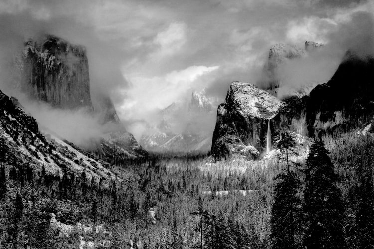 Museum of Modern Art Is Putting a Collection of Iconic Photos up for Sale