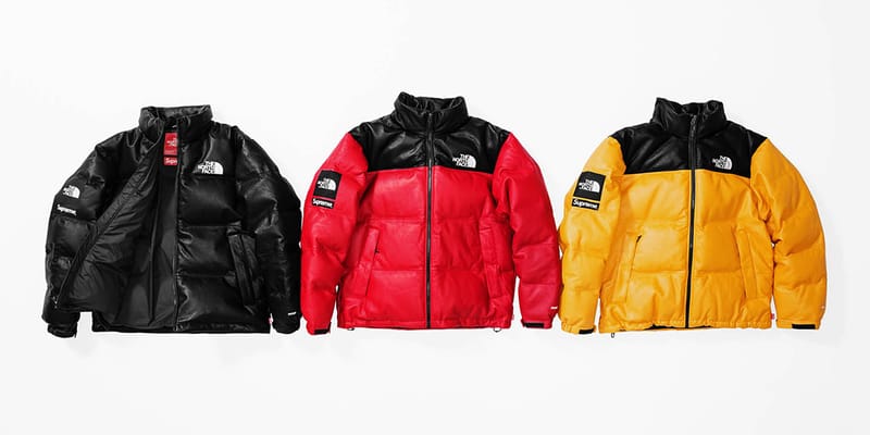 supreme north face leather jacket
