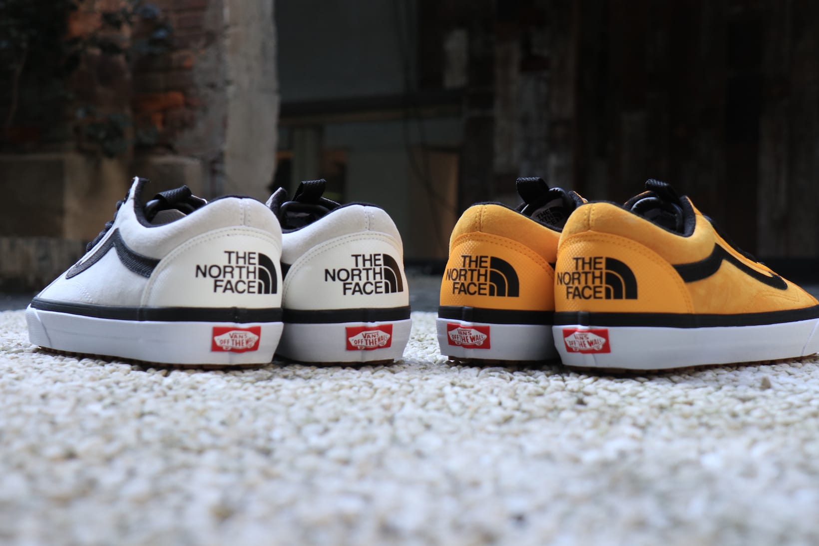 vans collab the north face