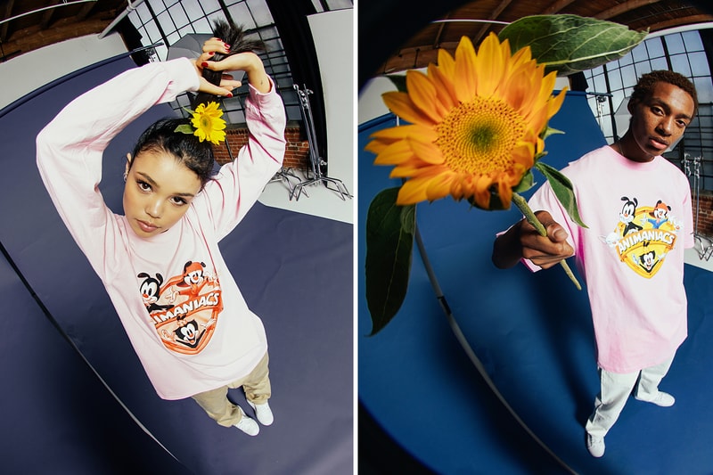 The Hundreds 'Animaniacs' Yakko Wakko Dot Pinky and the Brain Cartoons Lookbook