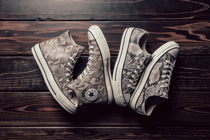 Converse Chuck Taylor All Star Hi Low Snakeskin Colorway