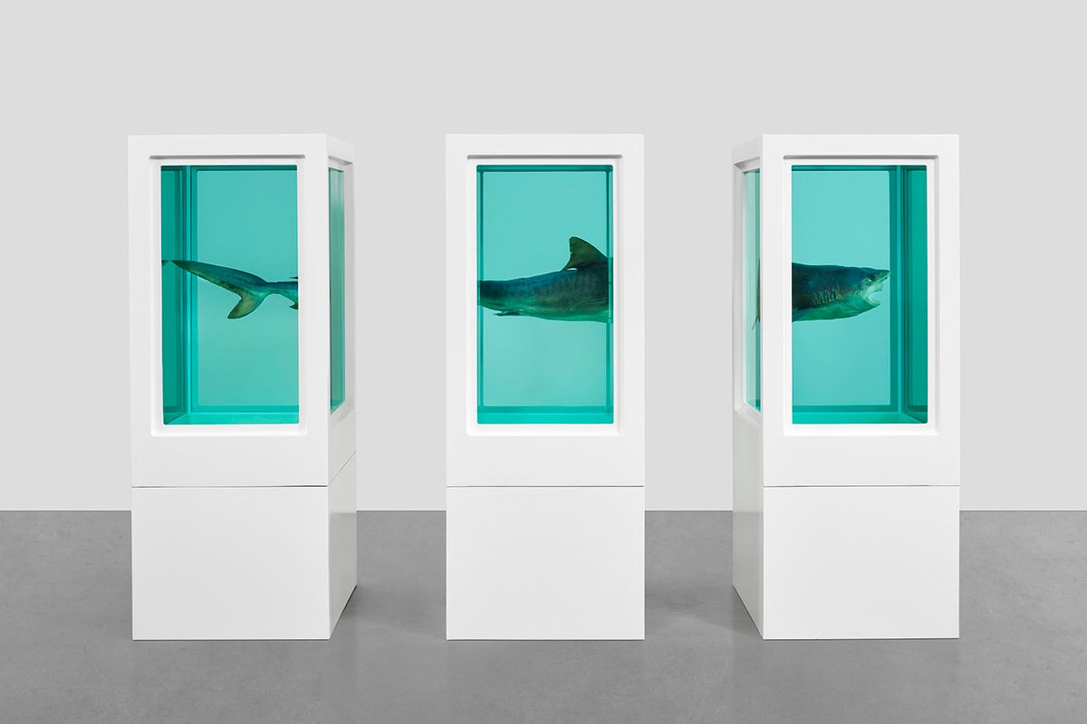 Damien Hirst Gagosian Hong Kong Visual Candy and Natural History Exhibition Shark Cow