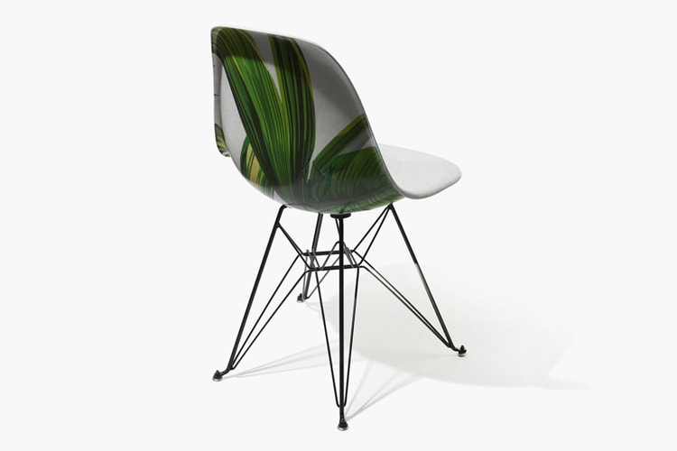Garrett Leight & Modernica Collaborate on Palm-Themed Chair