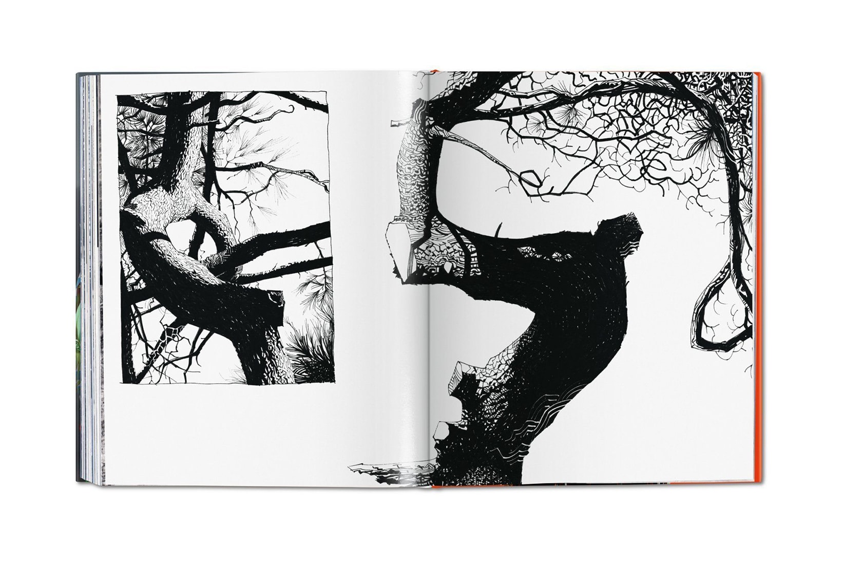 Jamie Hewlett TASCHEN Monograph Gorillaz Art Book 25 Years Inside the Mind of tank girl comic book