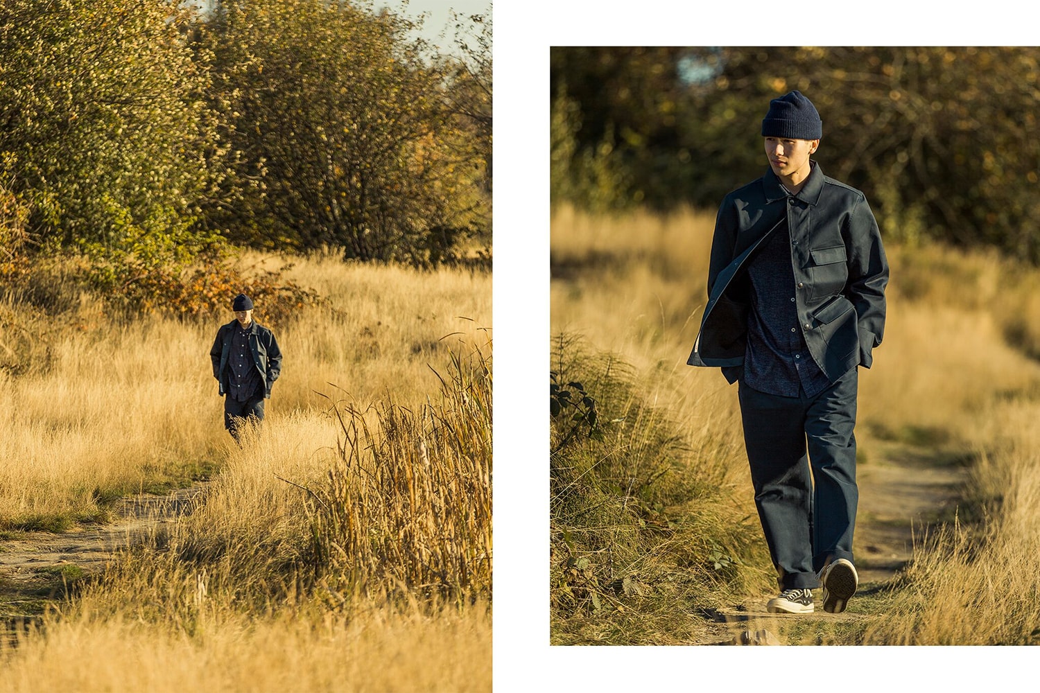 Livestock illustrated example Fall Winter 2017 Editorial Collection