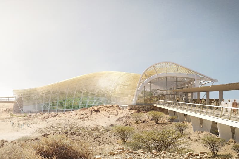 Oman Botanic Gardens Largest Earth Oasis Arup Grimshaw Haley Sharpe Design