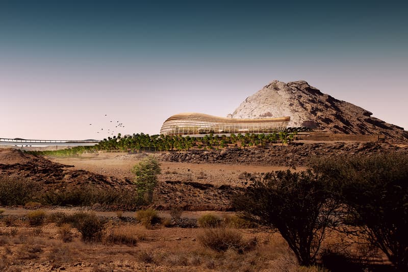 Oman Botanic Gardens Largest Earth Oasis Arup Grimshaw Haley Sharpe Design