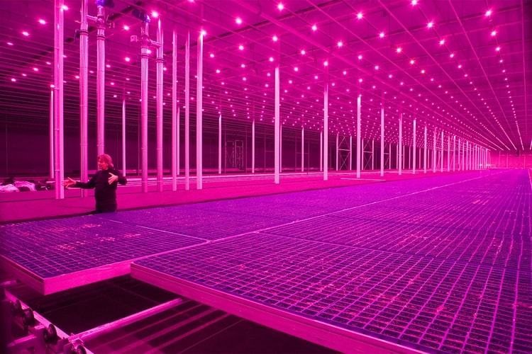 Guggenheim & Rem Koolhaas Announce Rural Research Project for 2019 Exhibit