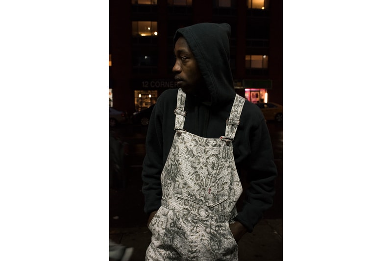 Supreme x Levi's 2017 Fall/Winter Snakeskin Collection Purple Blue White Black