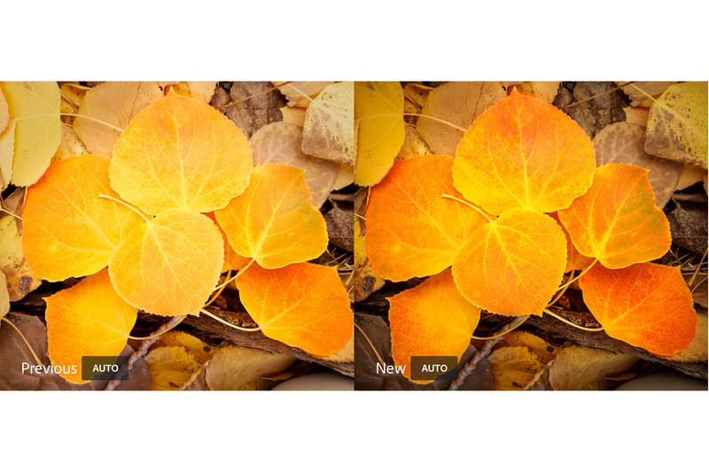 Adobe Lightroom Update AI Professionally Edit Photos