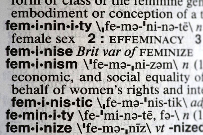 Feminism Merriam Webster 2017 Word of the Year Noah Search Spike complicit recuse empathy dotard syzygy gyro federalism hurricane gaffe