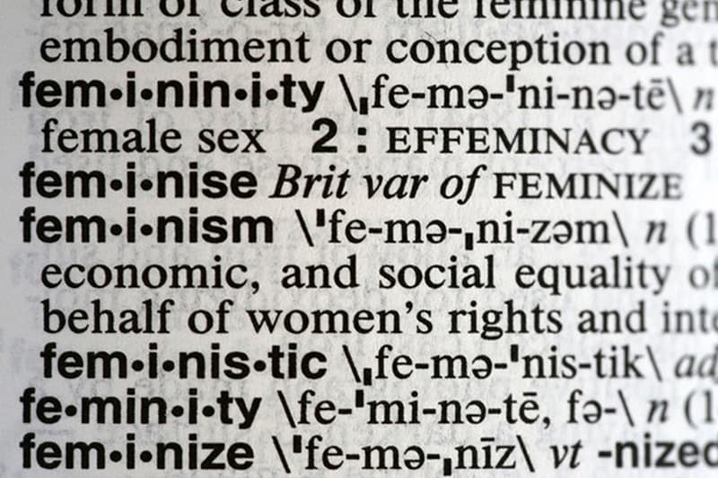 Feminism Merriam Webster 2017 Word of the Year Noah Search Spike complicit recuse empathy dotard syzygy gyro federalism hurricane gaffe