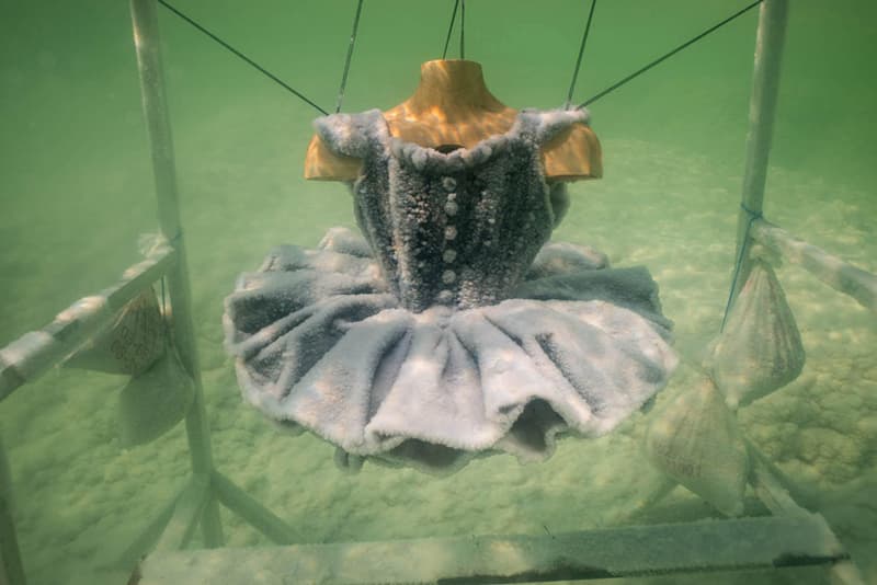 Sigalit Landau Dead Sea Salt Sculptures Baptism Art Salt Years Book