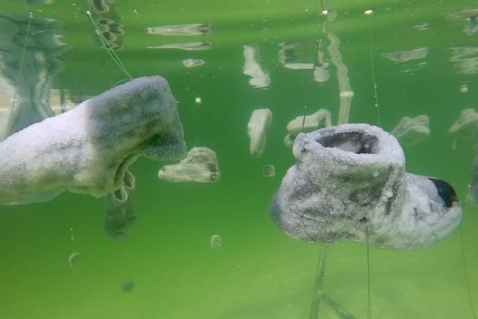 Sigalit Landau Dead Sea Salt Sculptures Baptism Art Salt Years Book