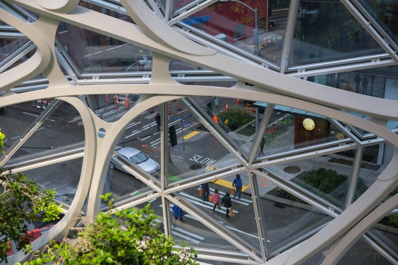 Amazon New Seattle Biospheres Look Inside Trees Southern California
