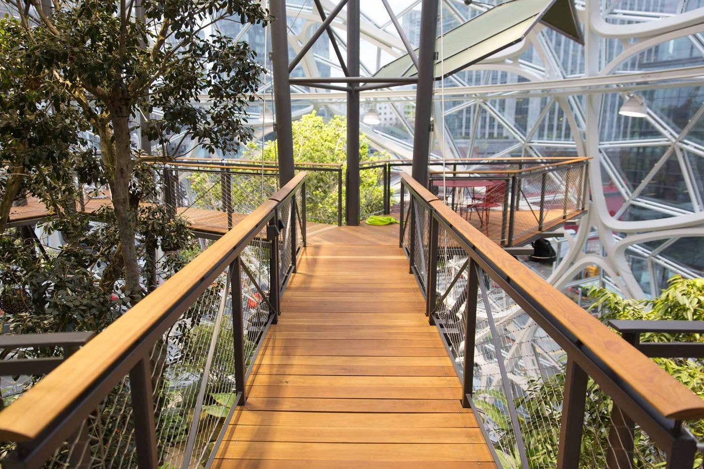 Amazon New Seattle Biospheres Look Inside Trees Southern California