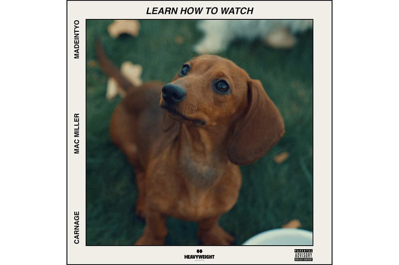 DJ Carnage Mac Miller Madeintyo Learn How to Watch New Music single song stream dog brown dachshund puppy