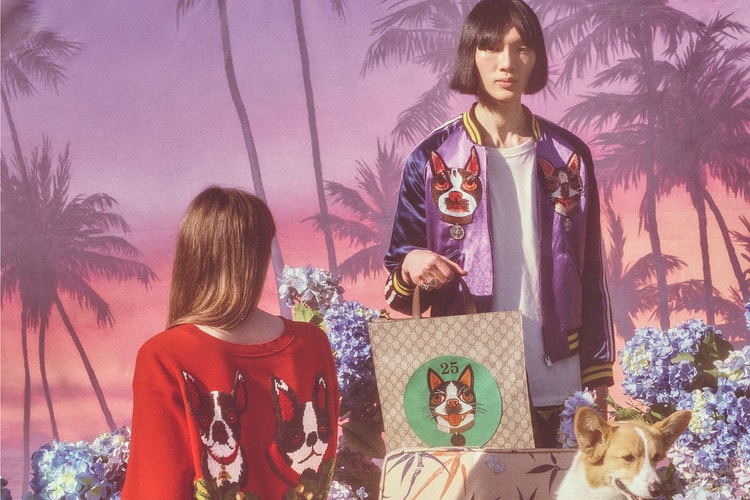 Download Petra Collins Hypebeast Desktop Wallpaper Wallpaper Petra Collins Hypebeast For iPhone Free