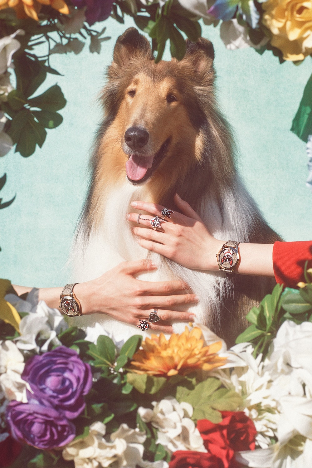 Gucci Drops Dog-Themed Chinese New Year Capsule