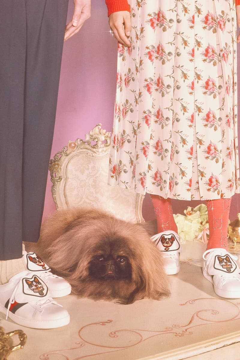 Gucci Chinese New Year Capsule Collection Zodiac Year of The Dog Petra Collins