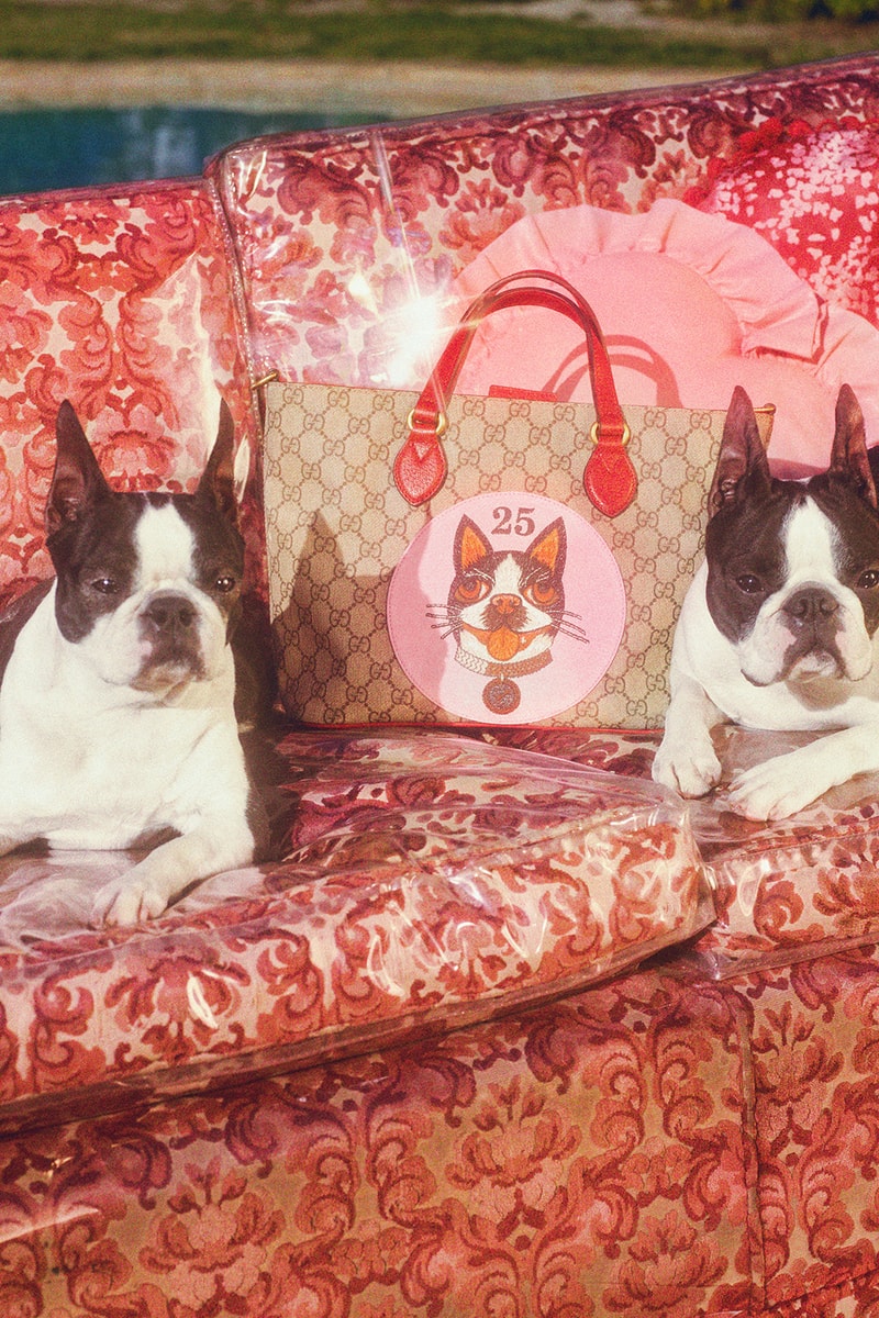 Gucci Chinese New Year Capsule Collection Zodiac Year of The Dog Petra Collins