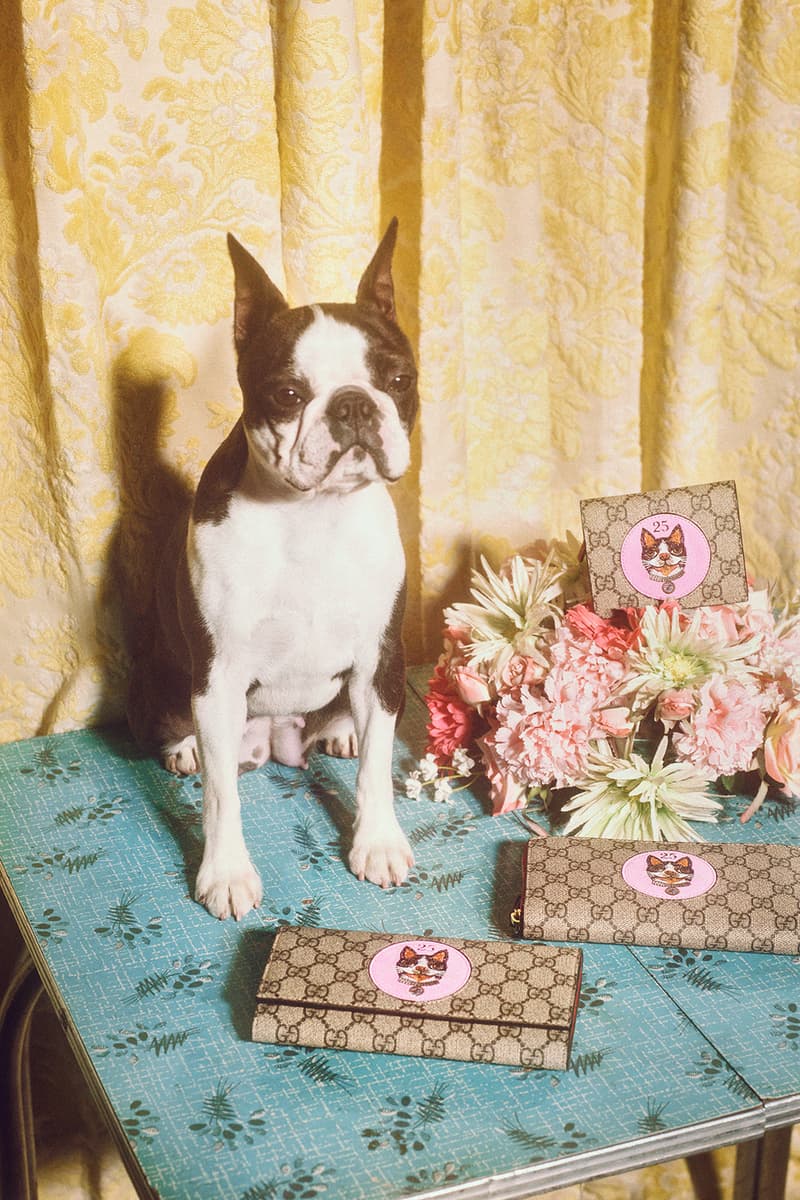 Gucci Chinese New Year Capsule Collection Zodiac Year of The Dog Petra Collins