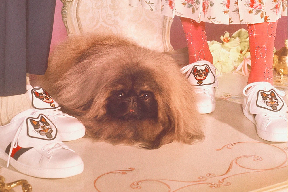 Best Fashion Product Releases January 2018 gucci Chinese new year dog