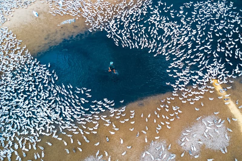 See Winners from DJI Photography Contest